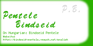 pentele bindseid business card